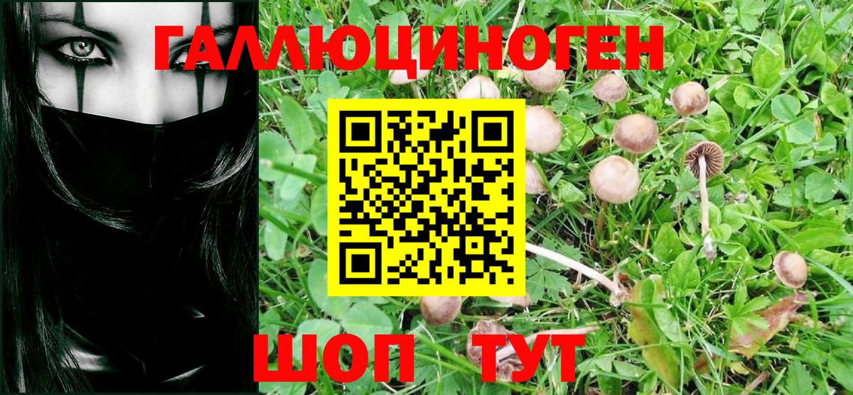Бугуруслан  Галлюциногенные грибы Cubensis  Вход с VPN 