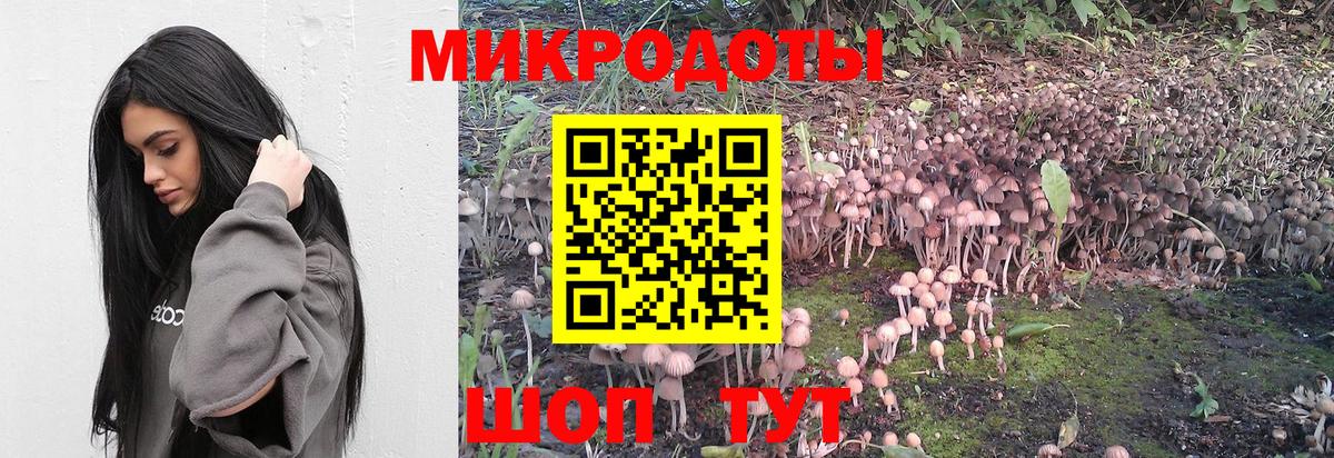 Галлюциногенные грибы Cubensis Бугуруслан